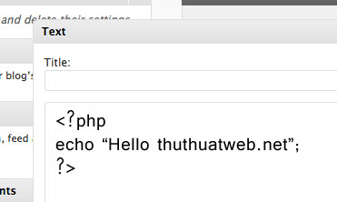 cach-nhung-file-php-vao-wordpress-text-widget