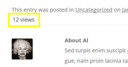dem-so-luong-nguoi-xem-bai-viet-trong-trang-wordpress