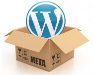 Hiểu và sử dụng Post meta (Custom fields) trong WordPress