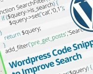 Top 10 WordPress Code Snippets hay cho tìm kiếm bài viết